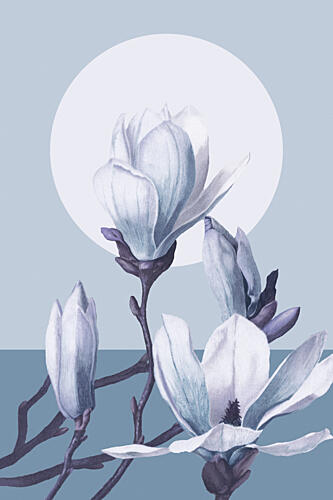 Serene Magnolia Blooms Art Print