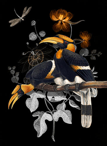 Golden Hornbills Dark Botanical Gold Print