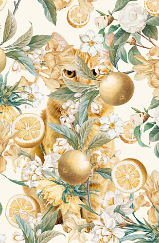 Ginger Cat Citrus Garden Art Print