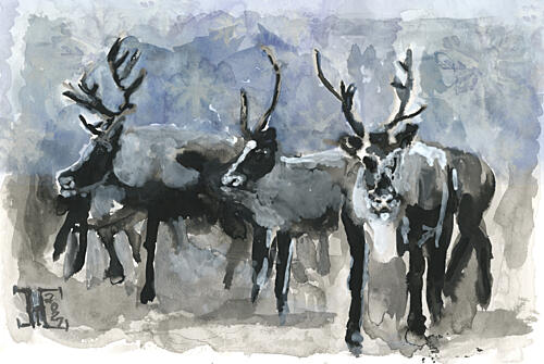 Three Reindeer in Winter Art Print by Tim Hoinkis