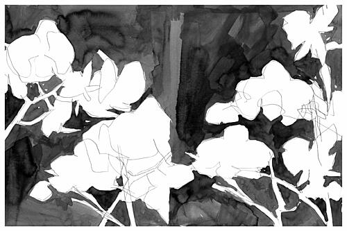 Elegant Night Blooms Art Print