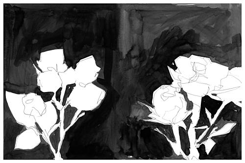 Elegant Night Blooms Art Print