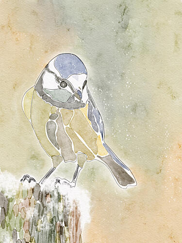 Snowy Blue Tit Art Print