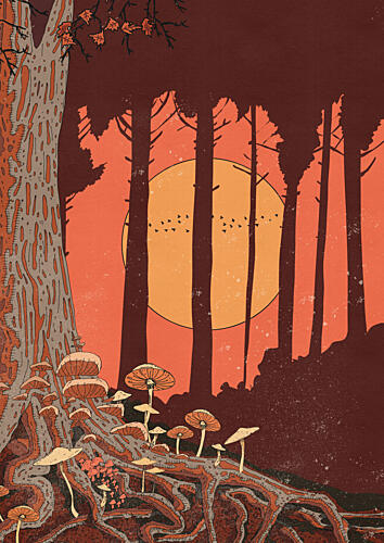 Sunset Mushroom Forest Art Print