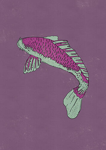Vibrant Purple Koi Art Print