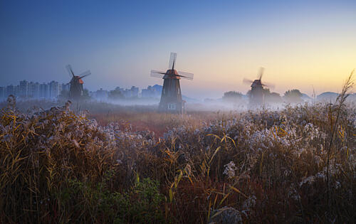 Misty Windmills Morning Art Print