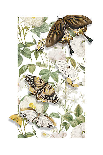 The Spring Butterflies Art Print