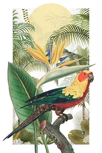 Tropical Parrot Paradise Tropical Print