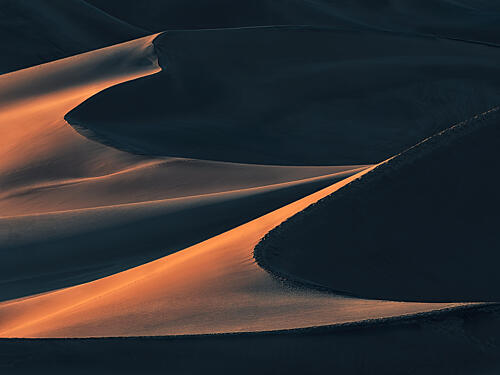 Golden Desert Curves Gold Print