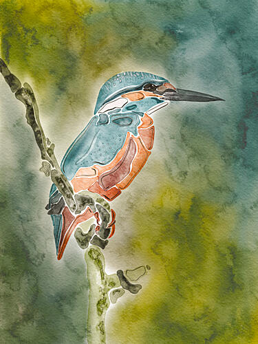 Vibrant Watercolor Kingfisher Art Print