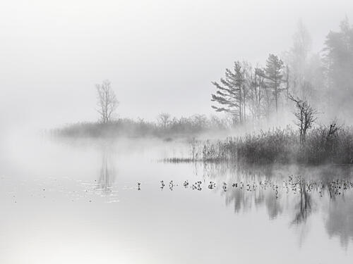 Misty Lake Morning Art Print by Tore Johansson