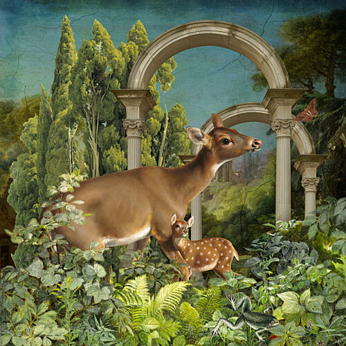 Deer Fawn Sanctuary Art Print