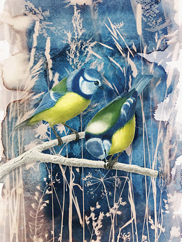Winter Blue Tits Art Print