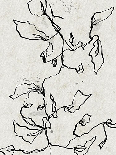 Flowing Botanical Lines Art Print