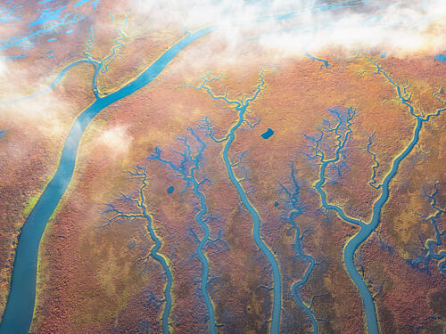 Vibrant Autumn Wetlands Art Print