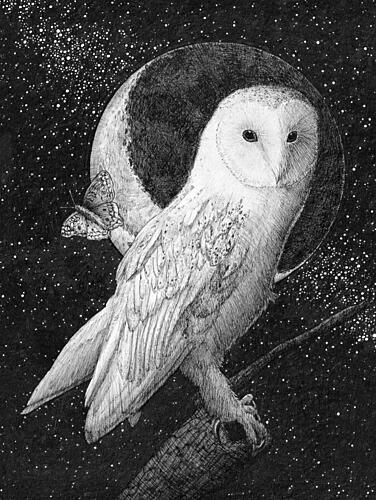 Moonlit Barn Owl Art Print