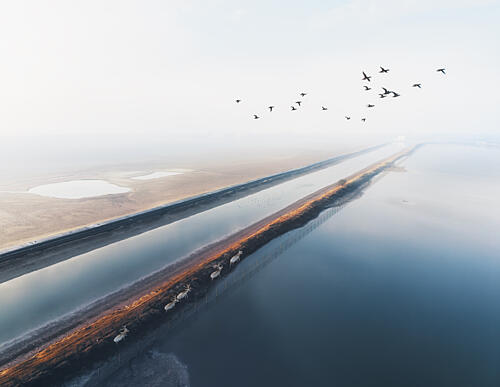 Misty Path of Flight Art Print