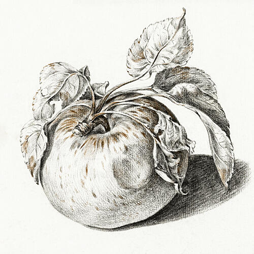 Apple Art Print