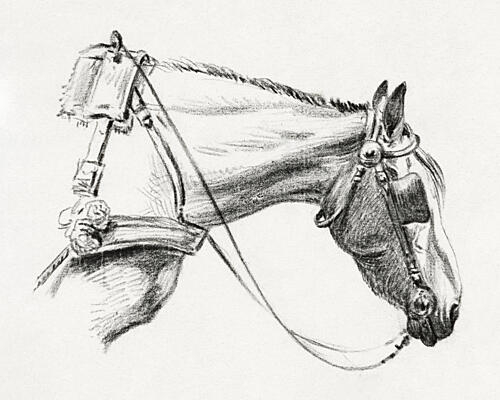 Head of a Horse 1820 Art Print