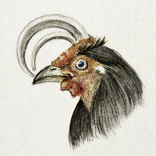 Head of a Rooster 1816 Art Print