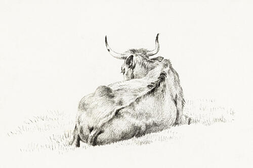 Lying Cow 1815 Art Print