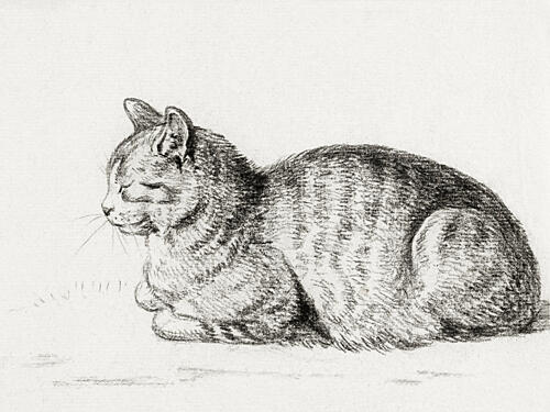 Lying Cat 1811 Art Print