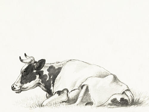 Lying Cow by Jean Bernard Art Print