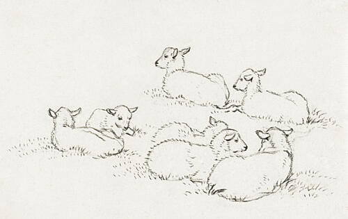 Six Lying Lambs 1820 Art Print