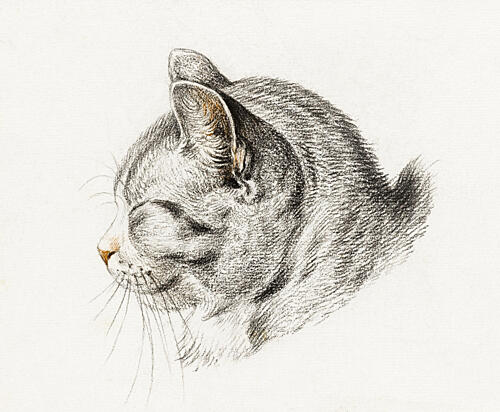 Sketch of a Cat 1813 Art Print