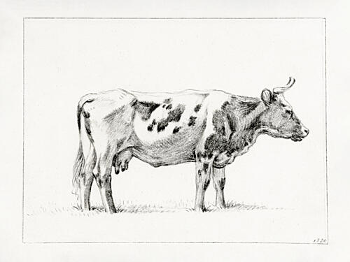 Standing Cow 1820 Art Print