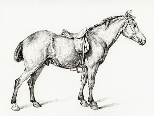 Standing Horse by Jean Bernard 1775 1883 Art Print
