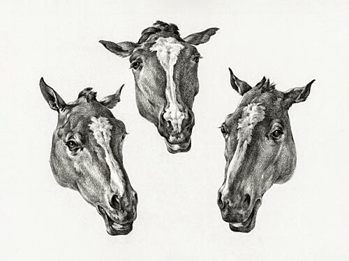 Three Horse Heads 1812 Art Print