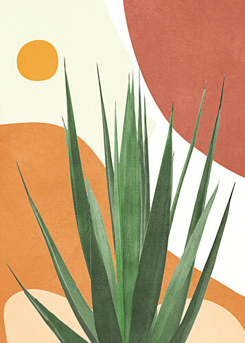 Modern Desert Agave Art Print