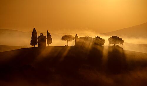 Golden Morning Mist Art Print by Liz Fang