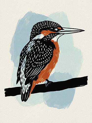 Spotted Kingfisher Perched Art Print