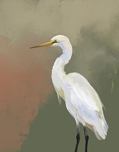 Elegant Egret Portrait Art Print