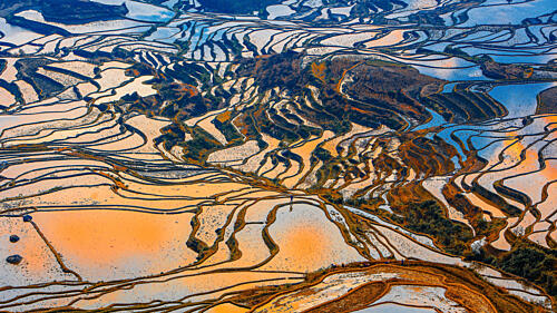 Colorful Rice Terraces Reflections Art Print by Ryu Shin Woo
