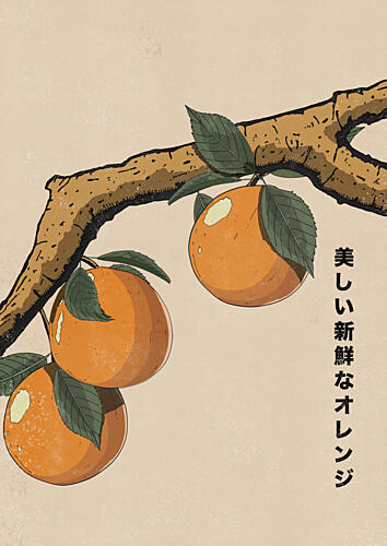Beautiful Fresh Oranges Art Print