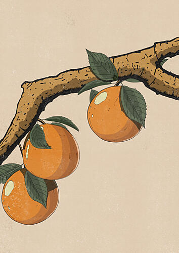 Golden Oranges Branch Gold Print