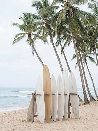 Tropical Surfboards on Beach Art Print
