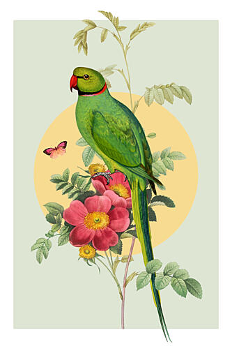 Green Parrot Rose Art Print