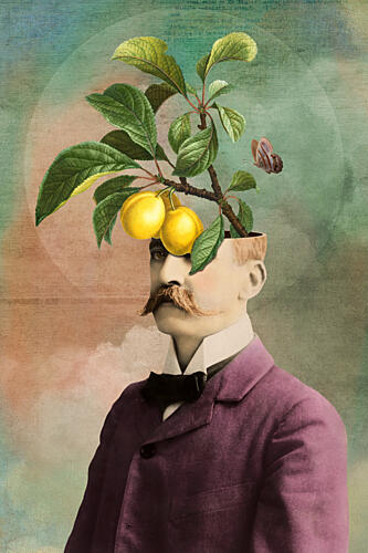 The Fruiting Mind Art Print