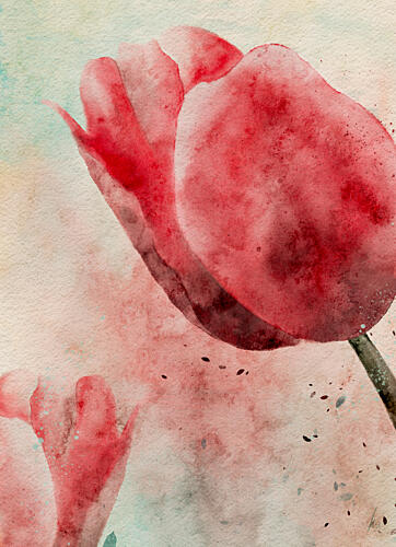 Vibrant Watercolor Tulips Art Print