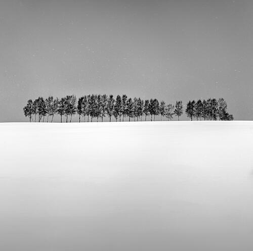 Snowy Horizon Trees Art Print