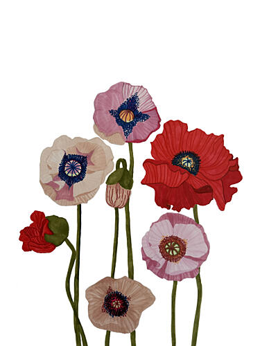 Colorful Poppy Blooms Pop art reproduction