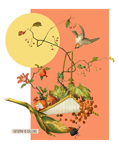 Autumn Bird and Harvest Art Print