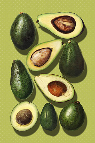 Vibrant Avocados Art Print