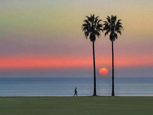 Vibrant Sunset Palms Gold Print
