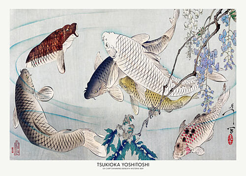 Six Carp Swimming Beneath Wisteria 1889 Gold Print