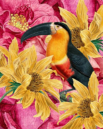 Vibrant Toucan and Flowers Art Print